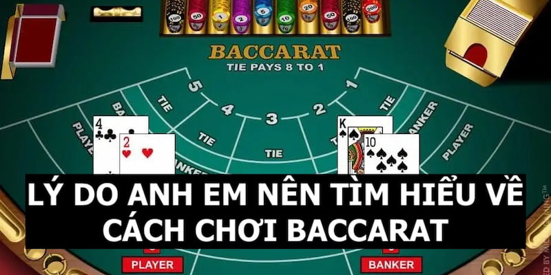 Lý do anh em nên tìm hiểu về cách chơi của bộ môn Baccarat