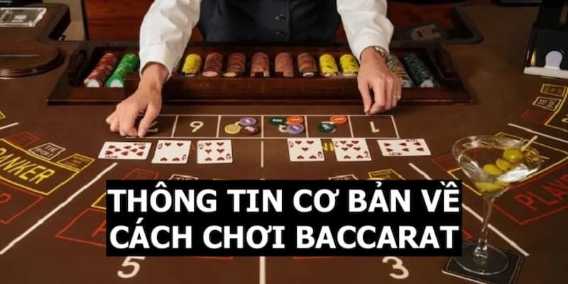 Những thông tin cơ bản về cách chơi của bộ môn Baccarat