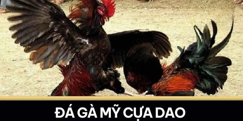 Các thể loại đá gà 8KBET được yêu thích nhất