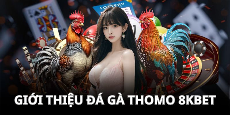 Tổng quan thông tin về hình thức đá gà Thomo hấp dẫn người chơi