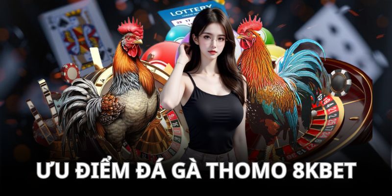 Ưu thế nổi trội của hình thức đá gà Thomo cho bạn đọc